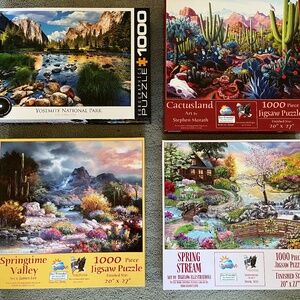 Puzzle Bundle, 4 Assorted , 1000 Piece